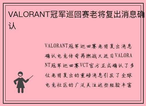 VALORANT冠军巡回赛老将复出消息确认