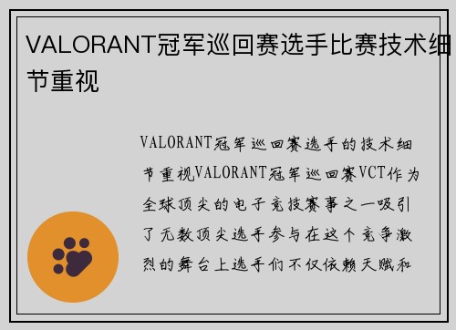VALORANT冠军巡回赛选手比赛技术细节重视