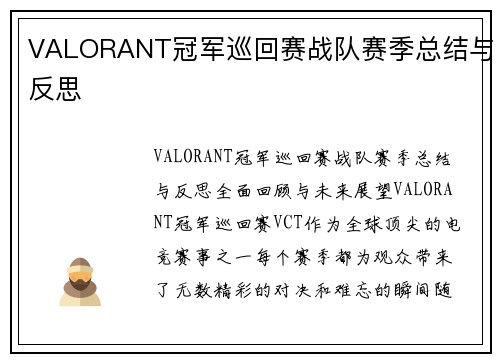 VALORANT冠军巡回赛战队赛季总结与反思