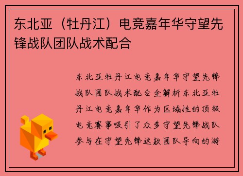 东北亚（牡丹江）电竞嘉年华守望先锋战队团队战术配合